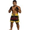 FIGHTERS - Muay Thai Shorts / Schwarz-Gelb