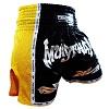 FIGHTERS - Thaibox Shorts / Elite Muay Thai / Schwarz-Gelb / XL