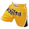 FIGHTERS - Thai Shorts / Classic